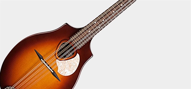 Mandolins &amp; Ukuleles